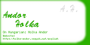 andor holka business card